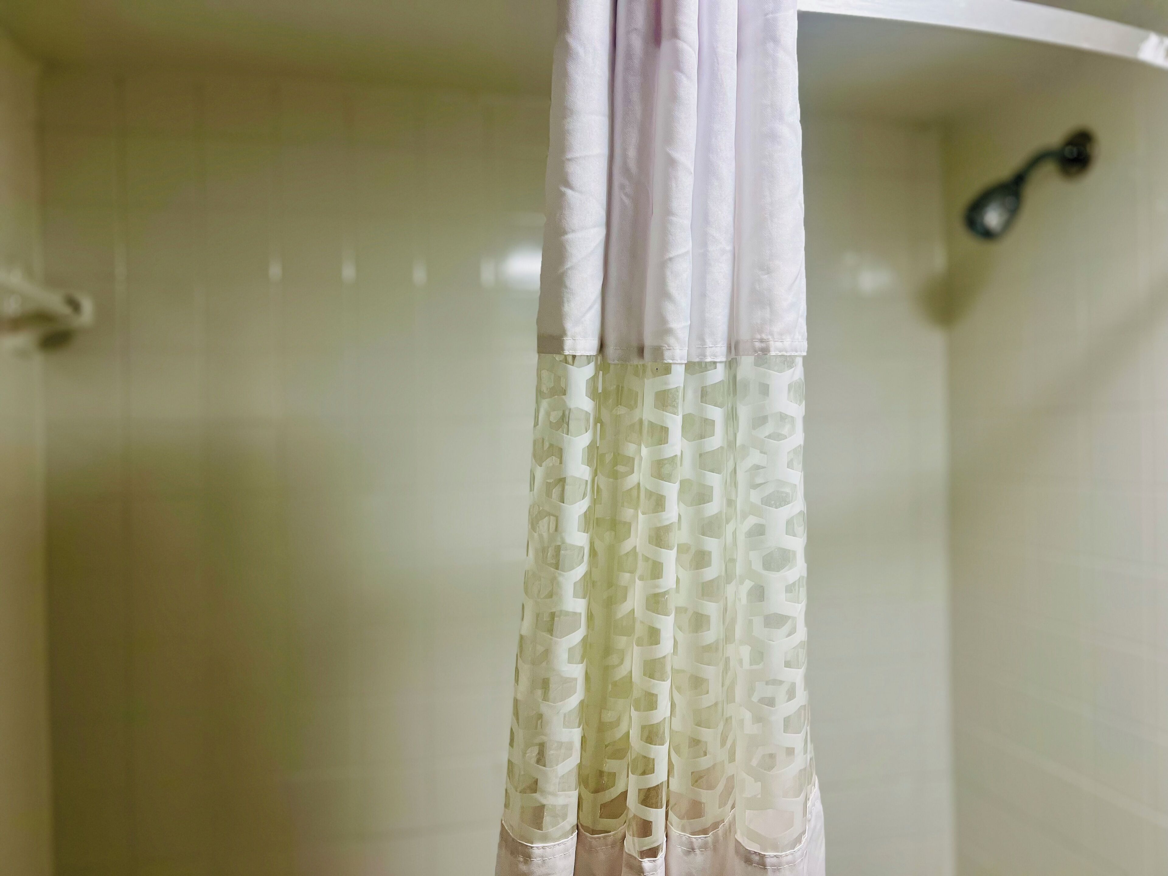 Un baño con cortina de ducha y grifo.