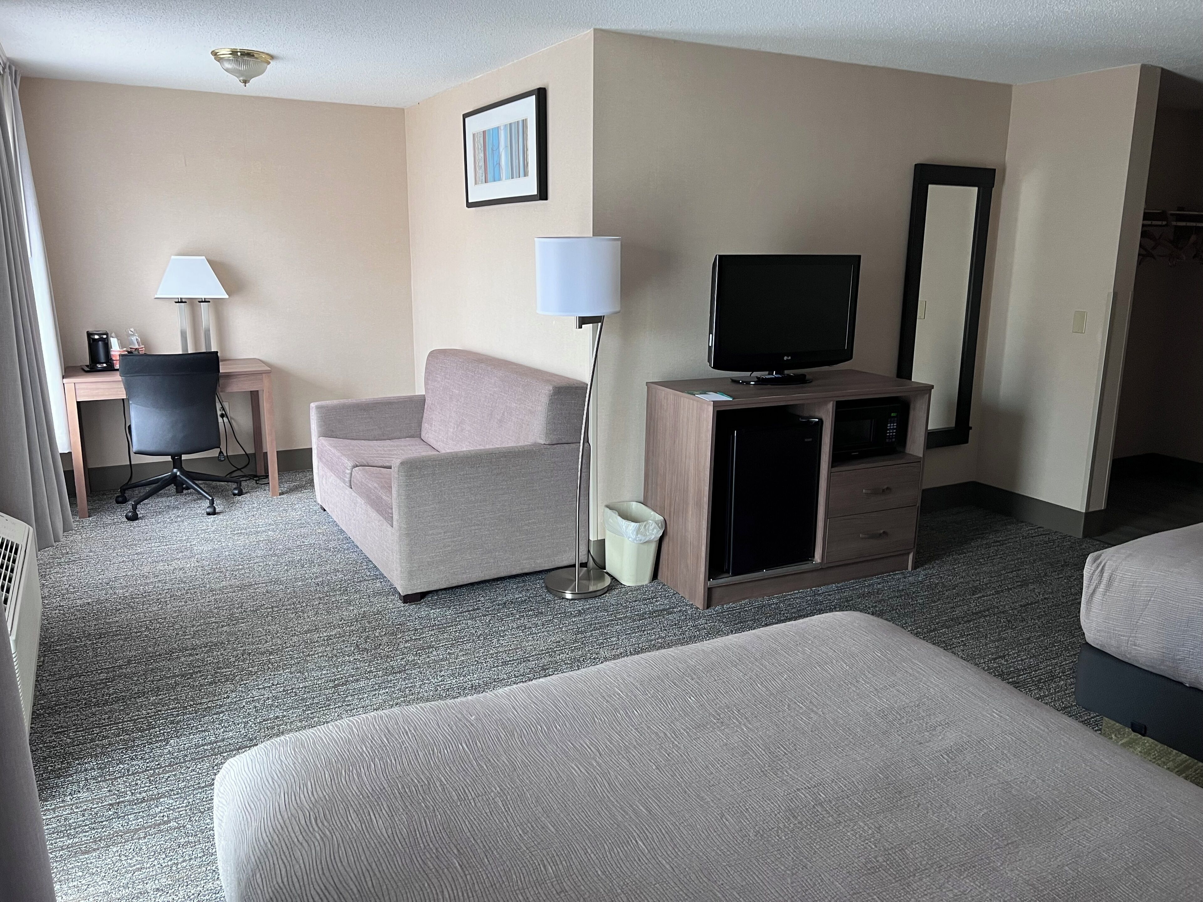 A hotel room with a sofa, a desk, a television, a microwave, and a trash bin.