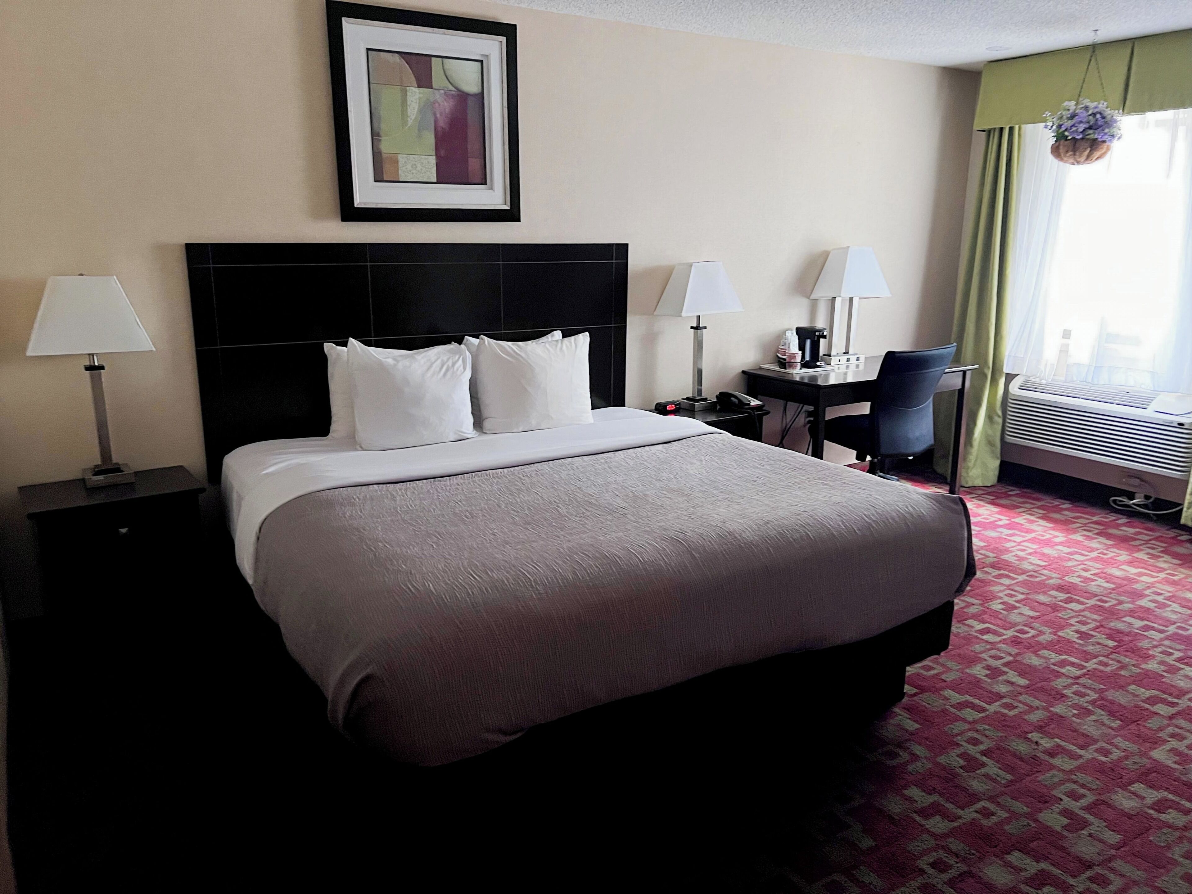 A hotel room with a bed, two bedside lamps, a desk with a chair, a hanging plant, and a framed picture on the wall.