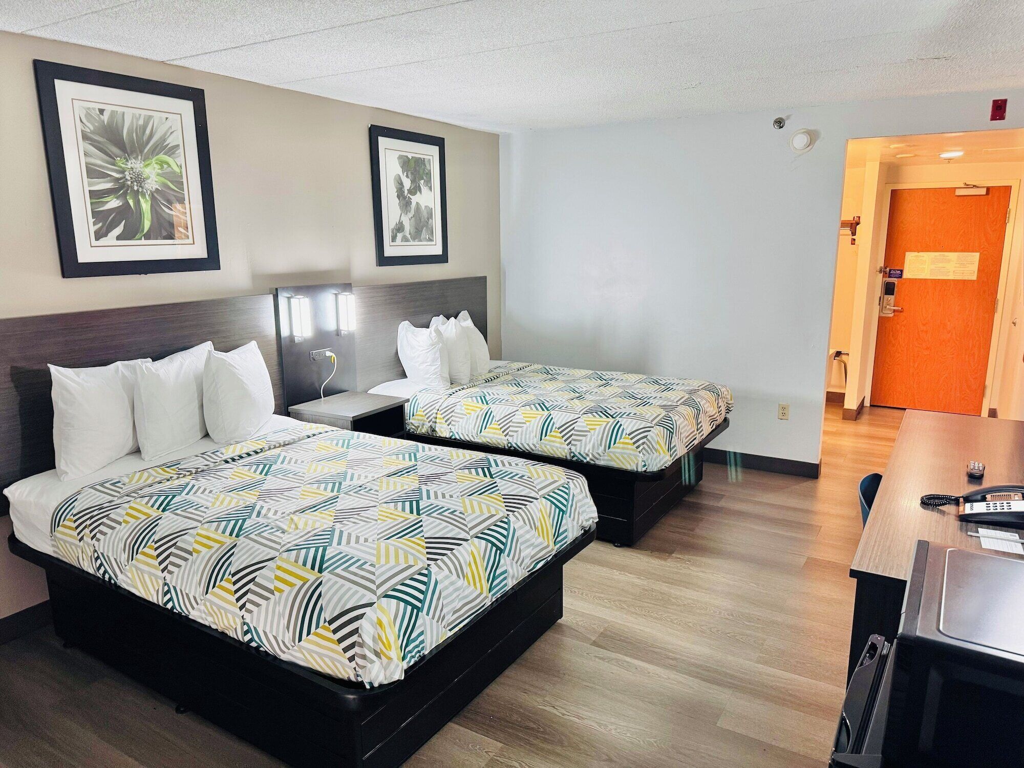 Een hotelkamer met twee bedden, elk voorzien van beddengoed met een patroon, een nachtkastje, een bureau met telefoon en lijstjes met kunst aan de muur.