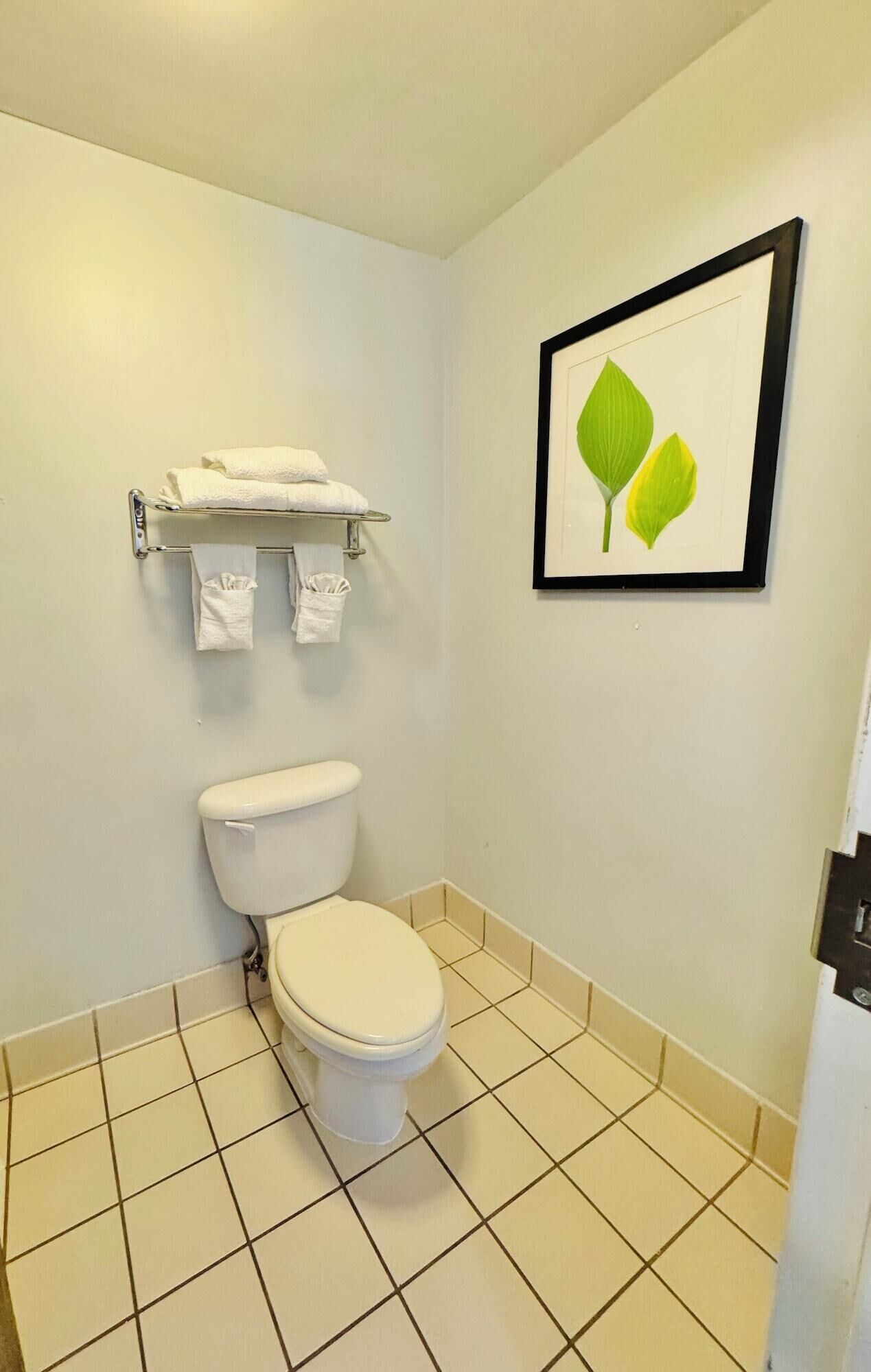 A bathroom with a toilet, a towel rack with folded towels, and a framed picture of leaves on the wall.
