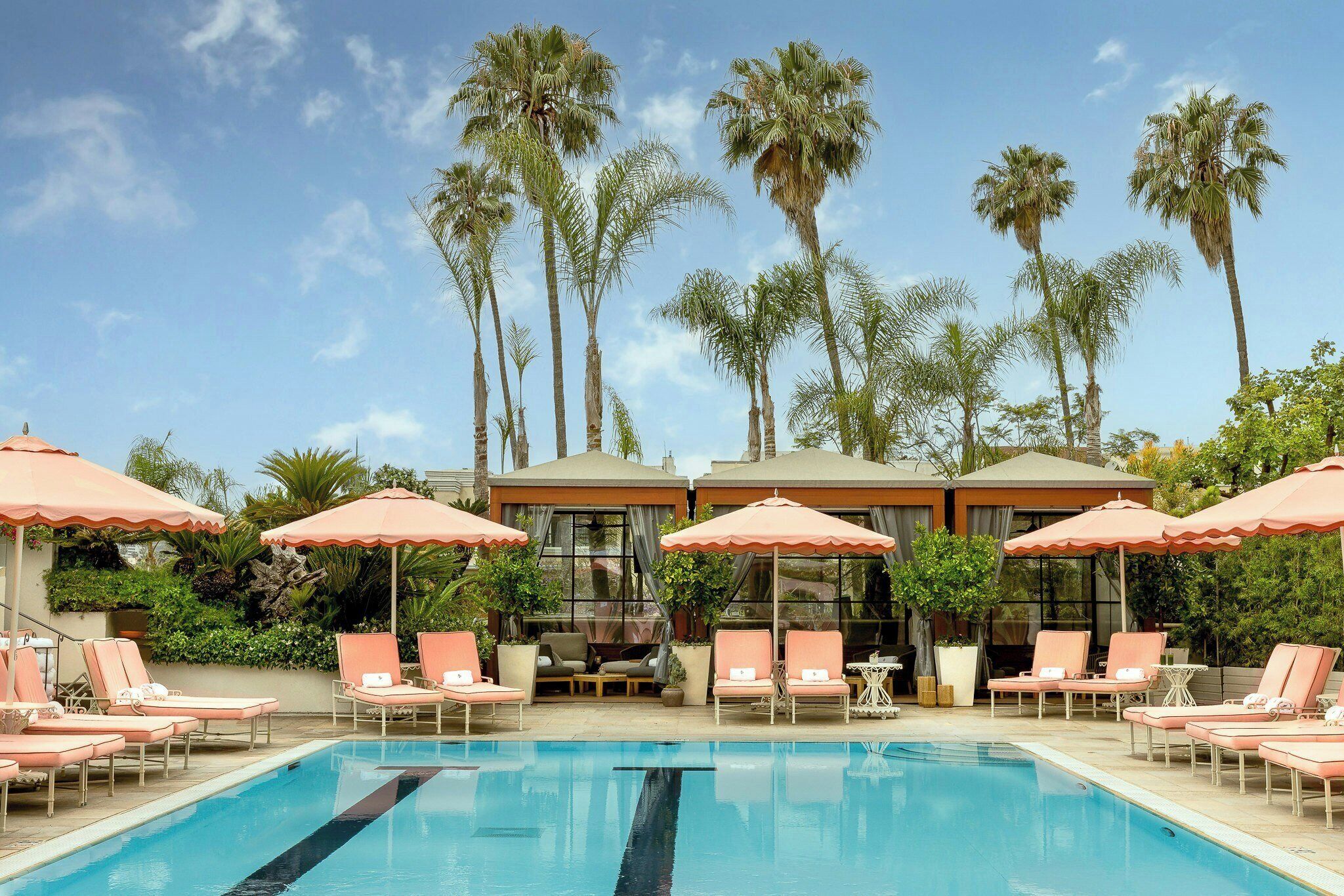 A pool area with lounge chairs and umbrellas, surrounded by palm trees.