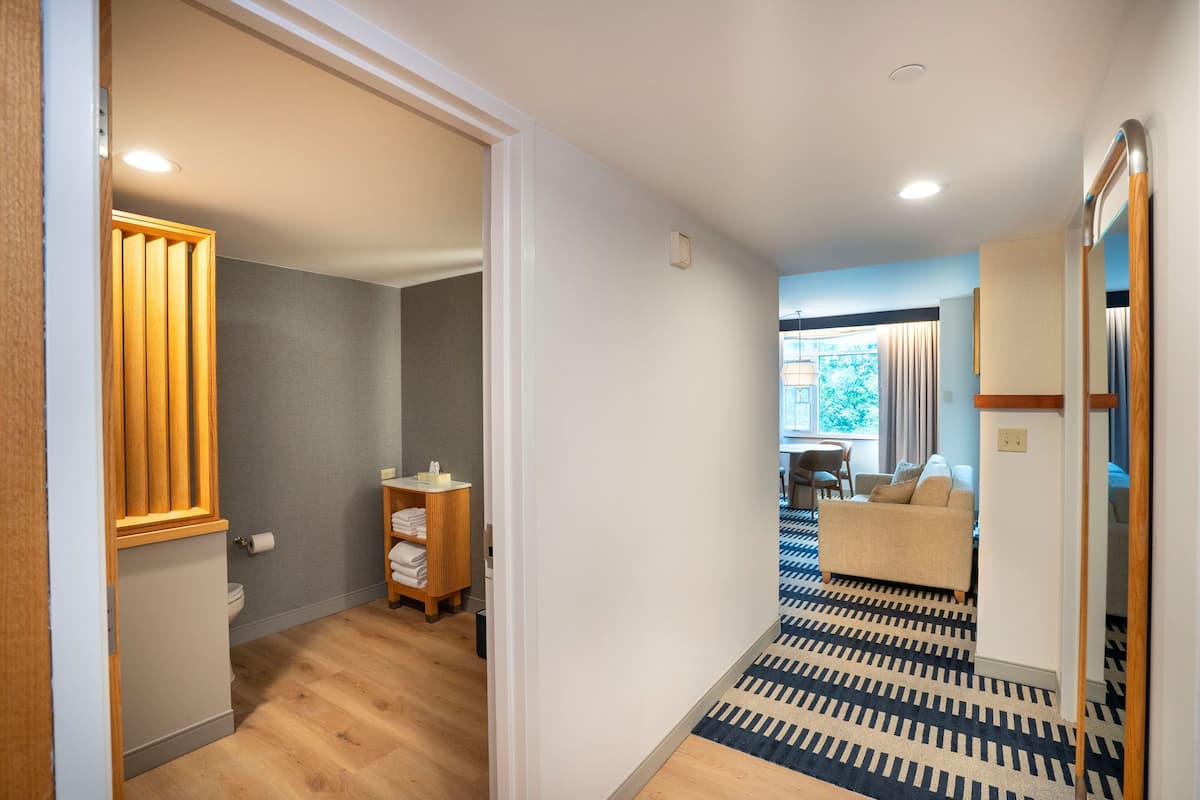Standard Suite, 1 King Bed with Sofa bed