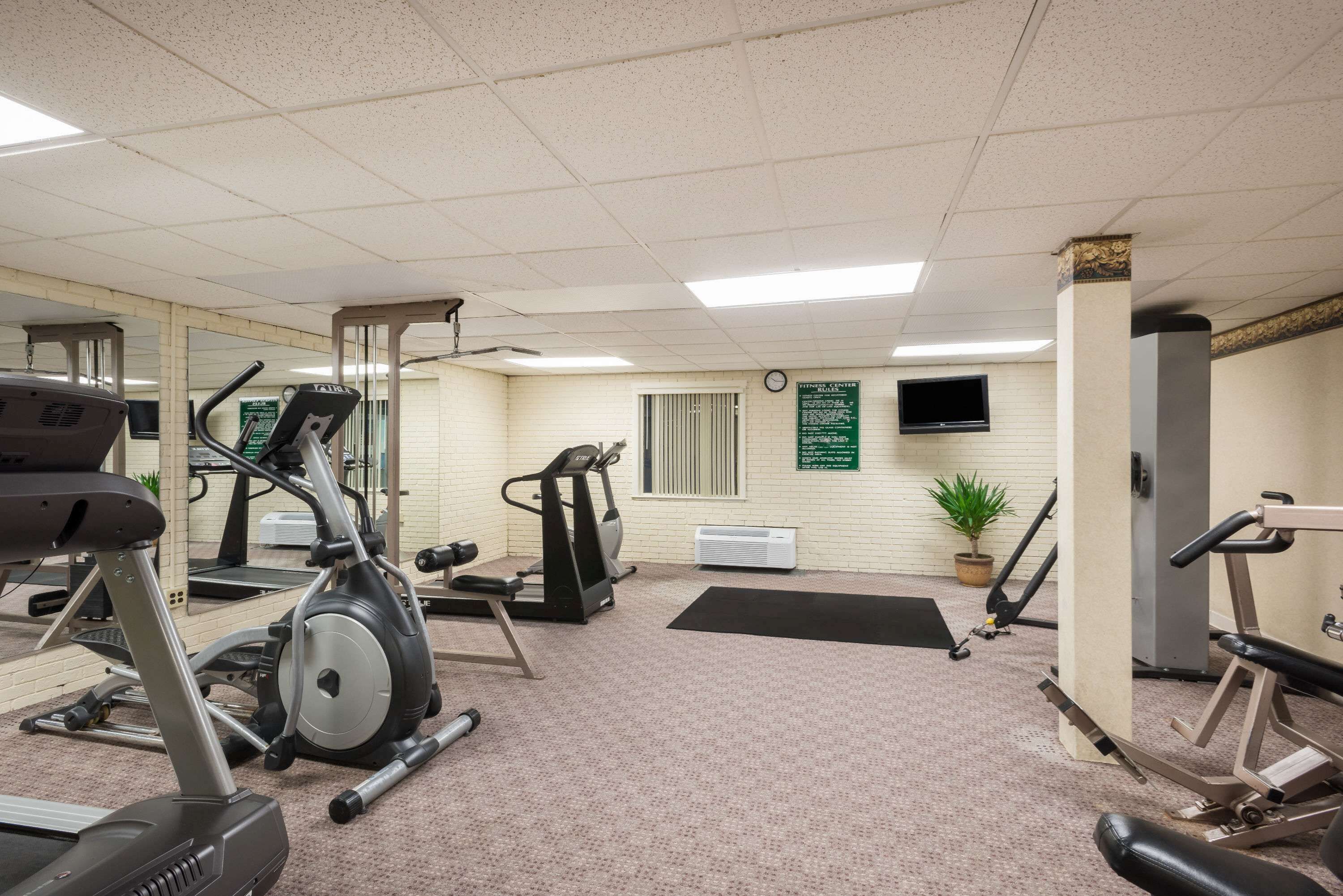 A gym with treadmills, elliptical machines, and weight equipment.