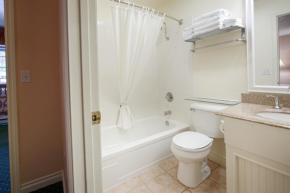 combined shower/bathtub, free toiletries, hair dryer, towels