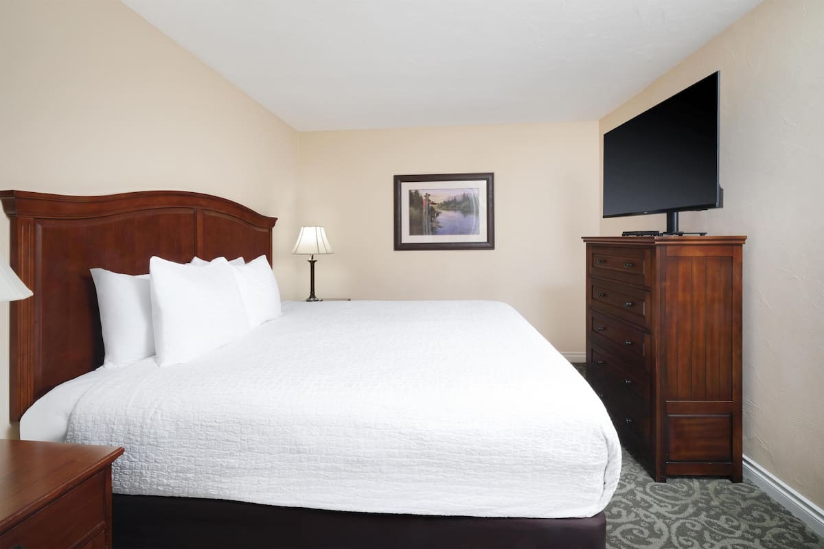 Suite, 1 King Bed, Non Smoking, Kitchenette (Living Room;with Single Sofabed) | 1 bedroom, iron/ironing board, free WiFi, bed sheets