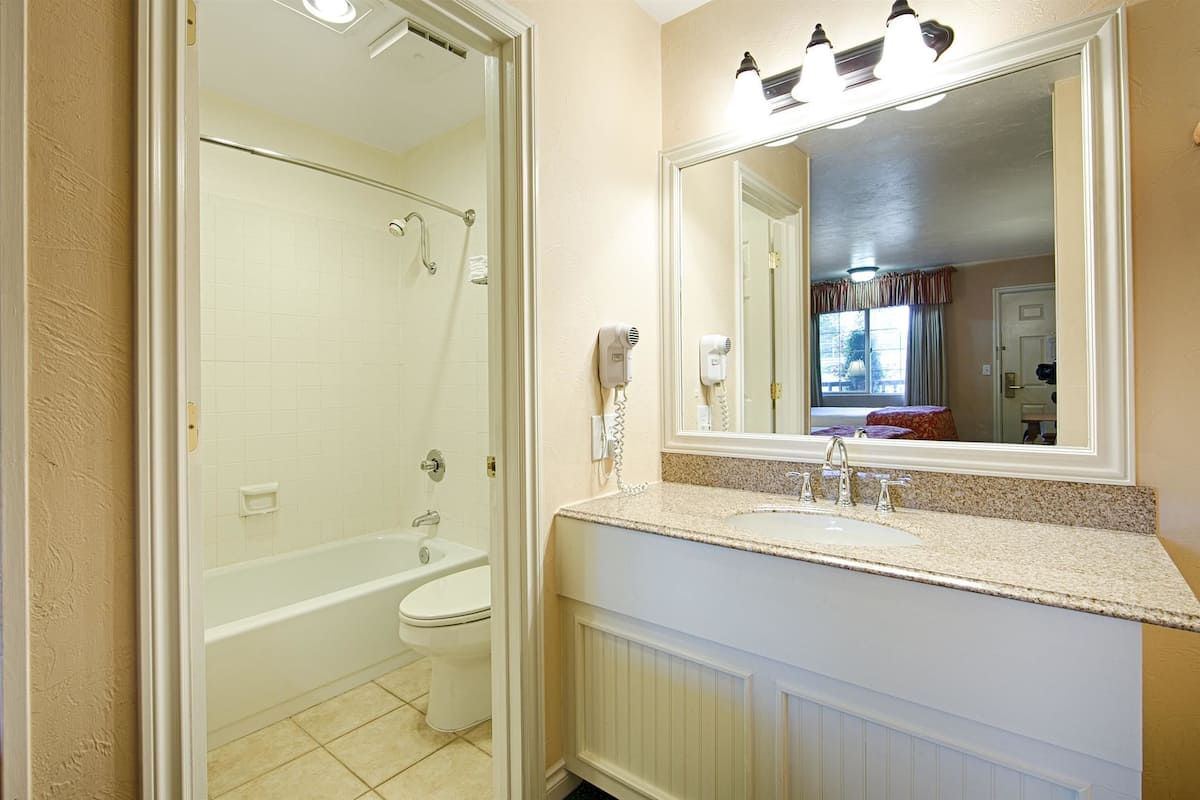 combined shower/bathtub, free toiletries, hair dryer, towels