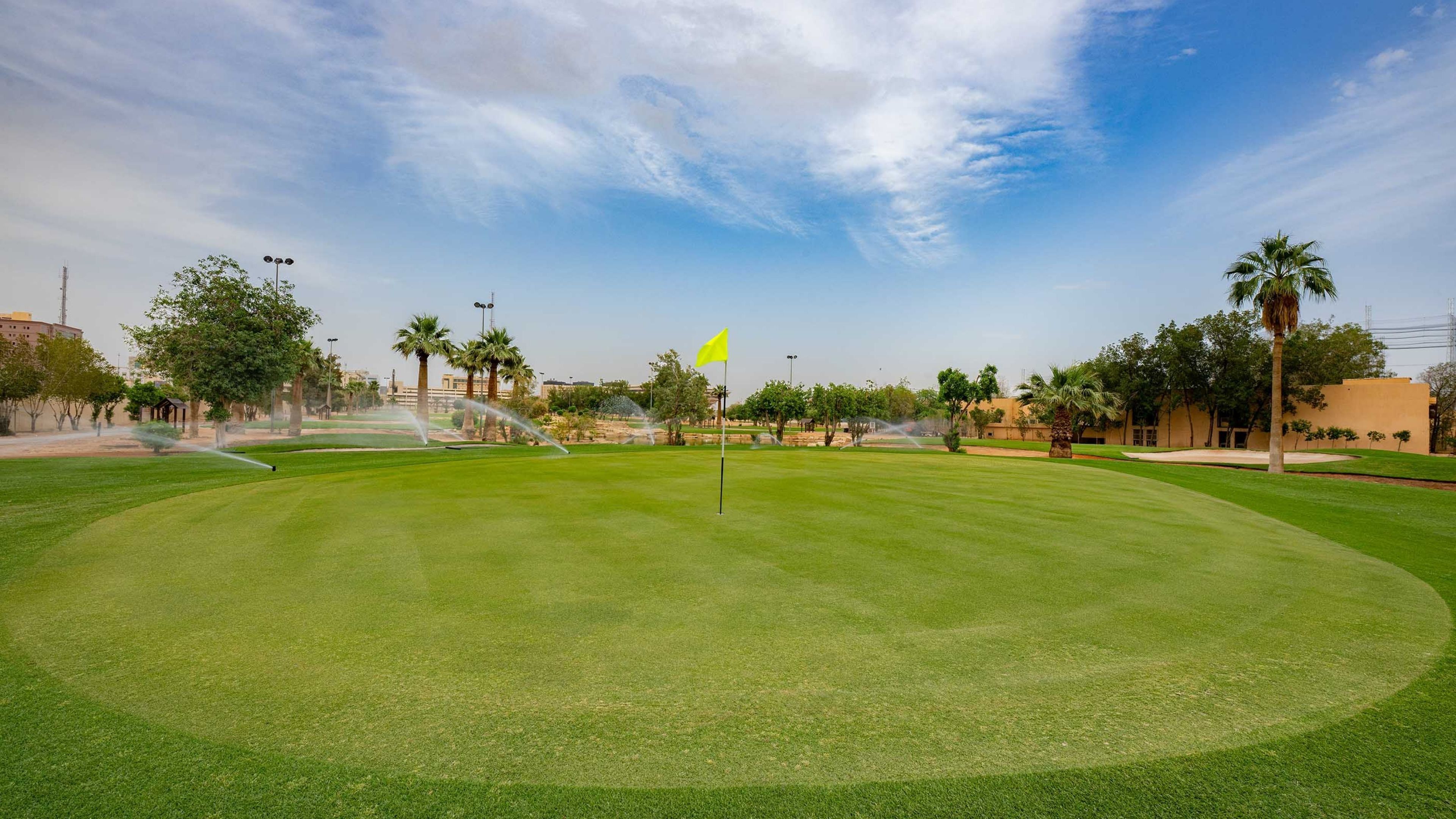 Un campo de golf bien cuidado con una bandera, palmeras y un cielo despejado.
