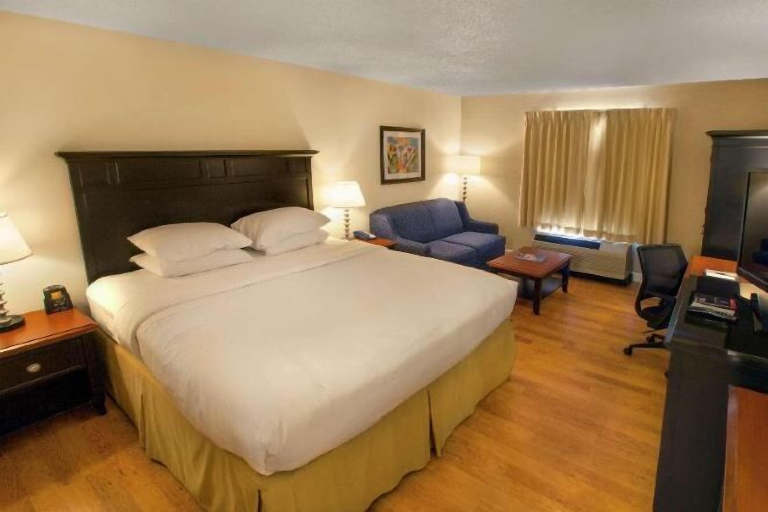 Ropa de cama de alta calidad, escritorio y cortinas blackout 