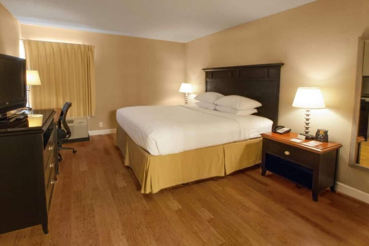 Premium bedding, desk, blackout drapes, iron/ironing board