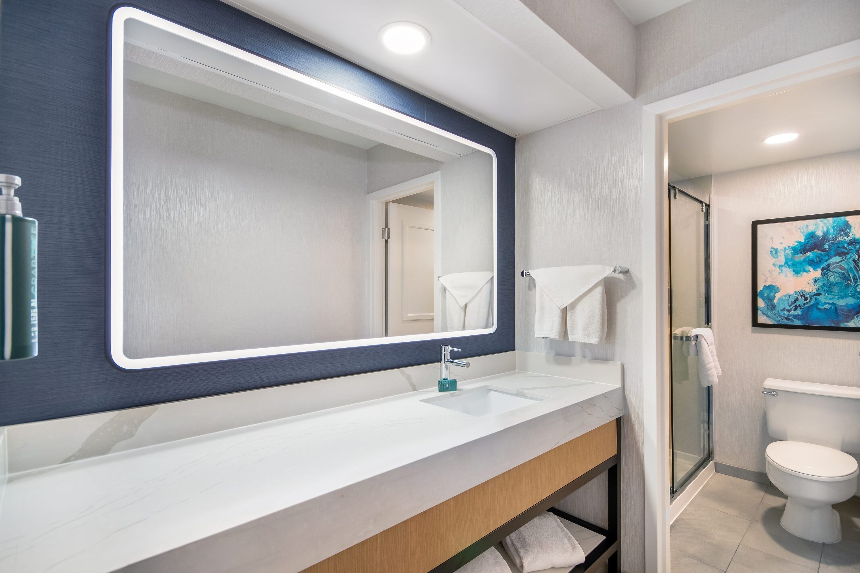 Bathroom shower