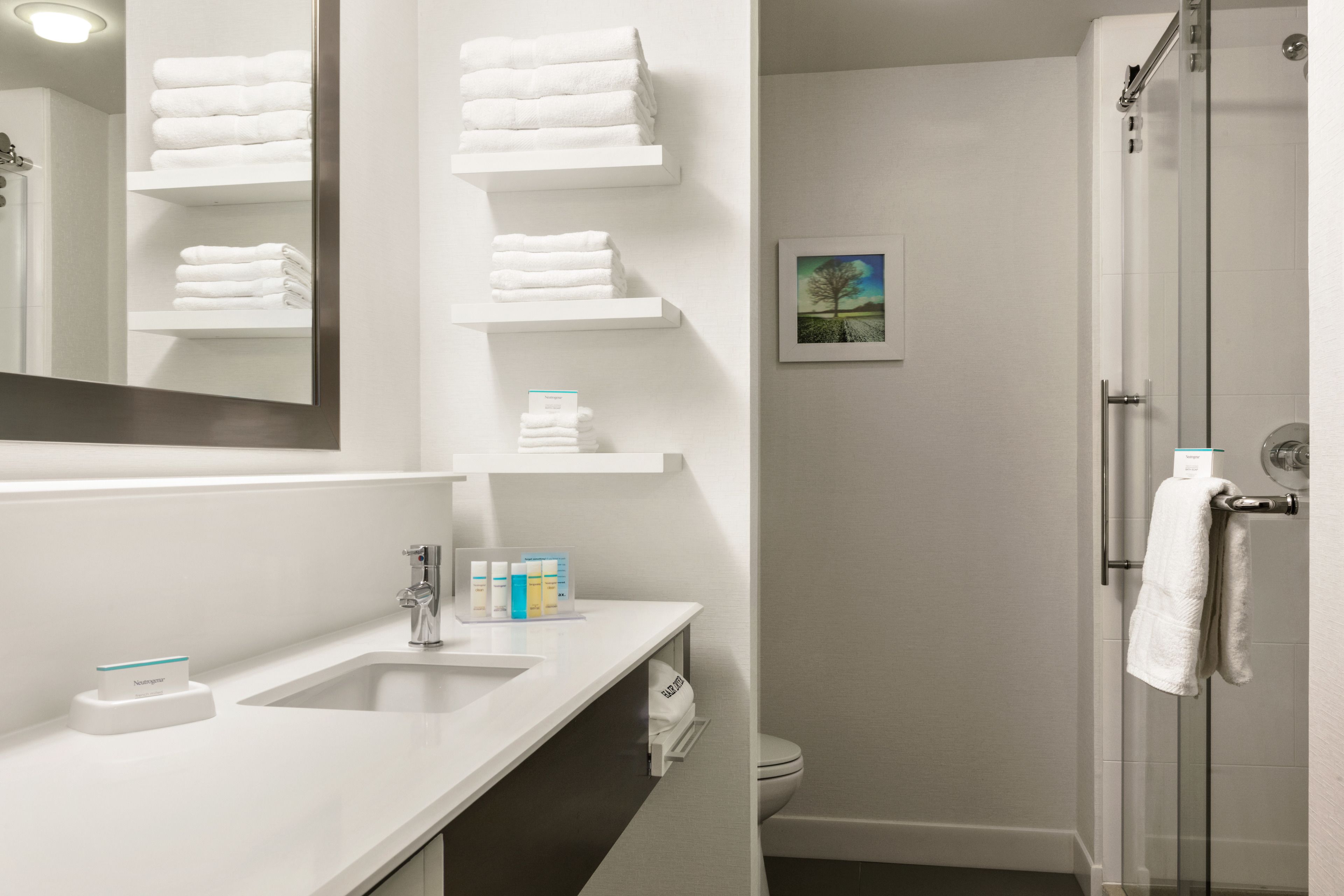 combined shower/bathtub, free toiletries, hair dryer, towels