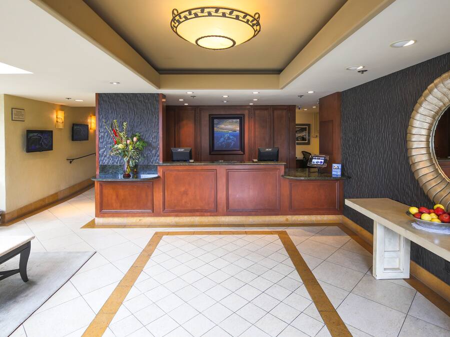 A reception area with a wooden reception desk, a large mirror, and a bench with a fruit bowl.