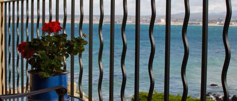 A balcony with a view of the sea and a potted plant with red flowers.