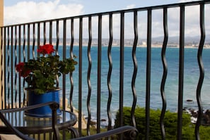 A balcony with a view of the sea and a potted plant with red flowers.