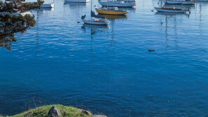 A marina with various boats docked in calm waters, surrounded by trees and a clear sky. - Monterey Bay Inn (Monterey)