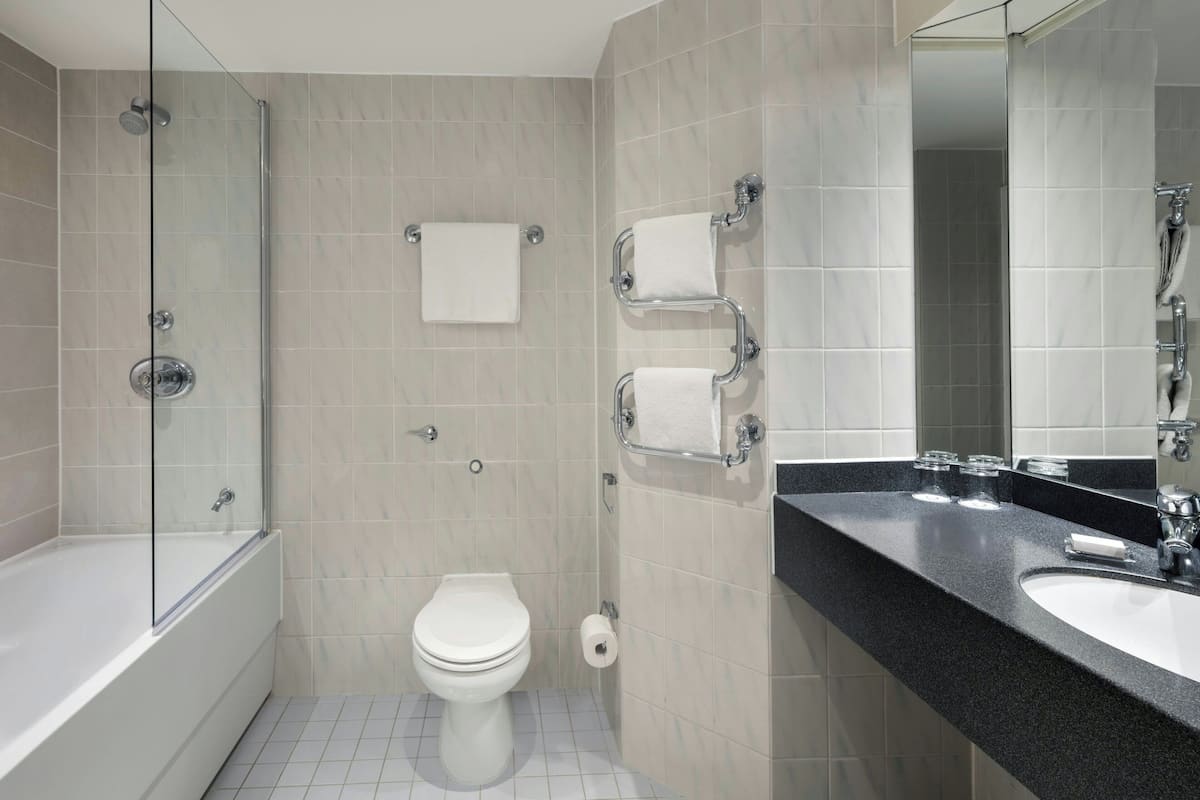 combined shower/bathtub, free toiletries, hair dryer, towels