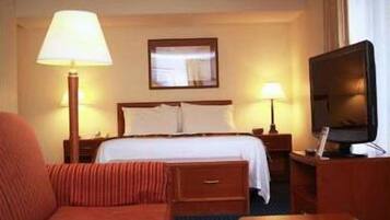 スタジオスイート クイーンベッド 1 台 禁煙