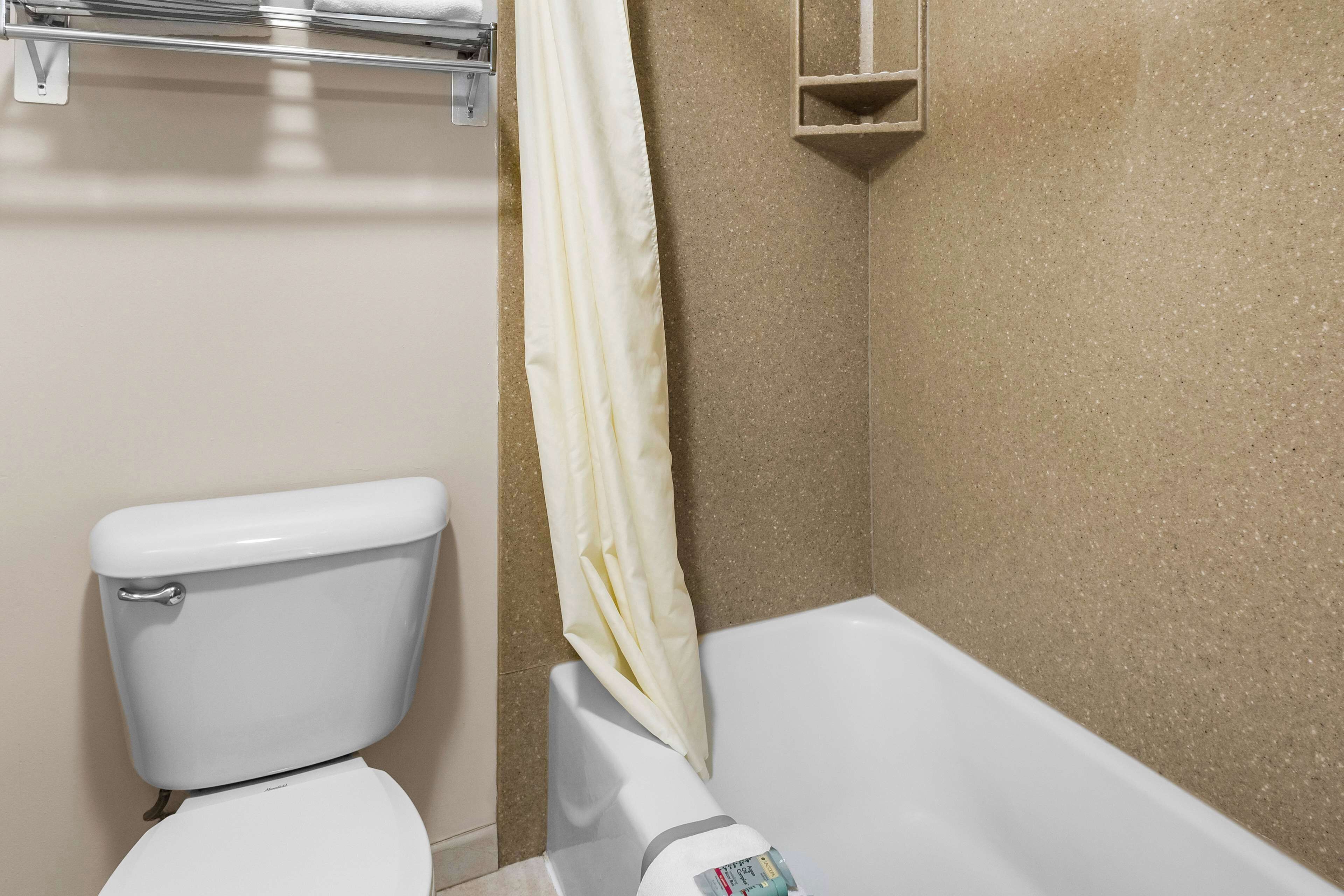 A bathroom with a toilet, a bathtub, and a shower curtain.