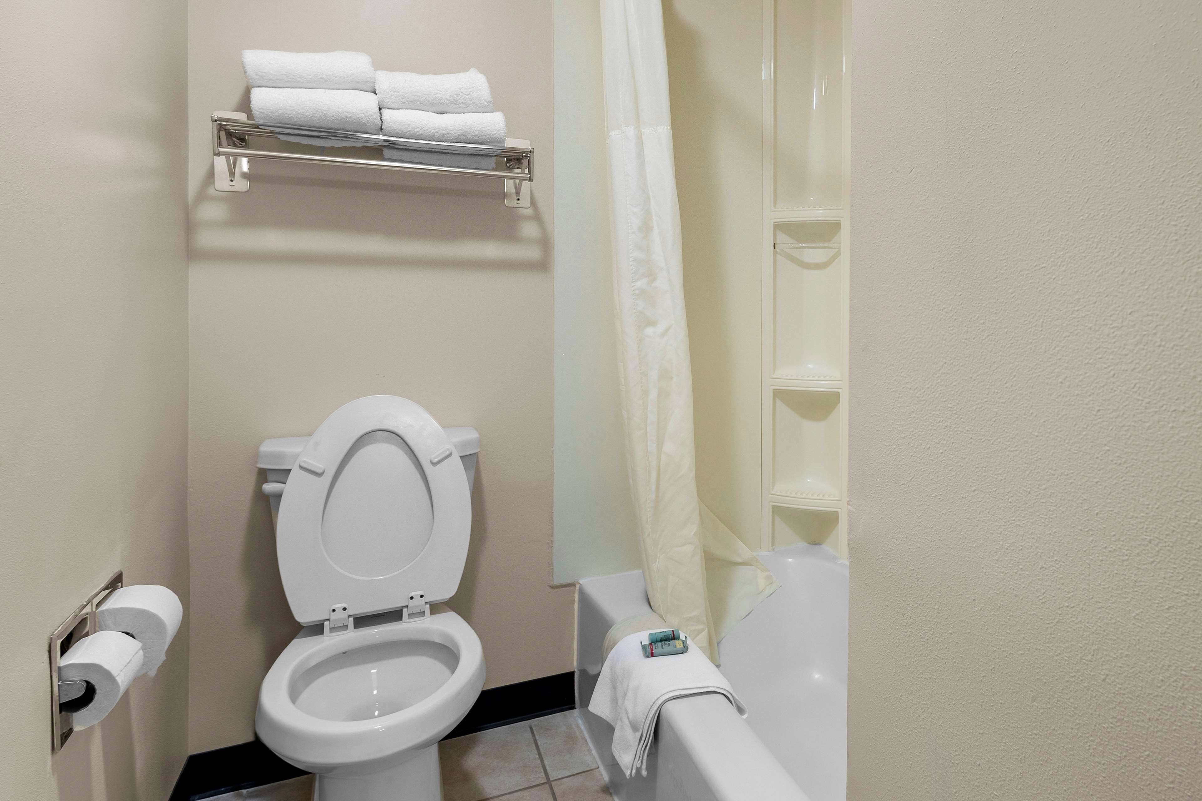 Ein Badezimmer mit Toilette, Handtuchhalter mit Handtüchern, einer Duschvorhang und einer Badewanne.