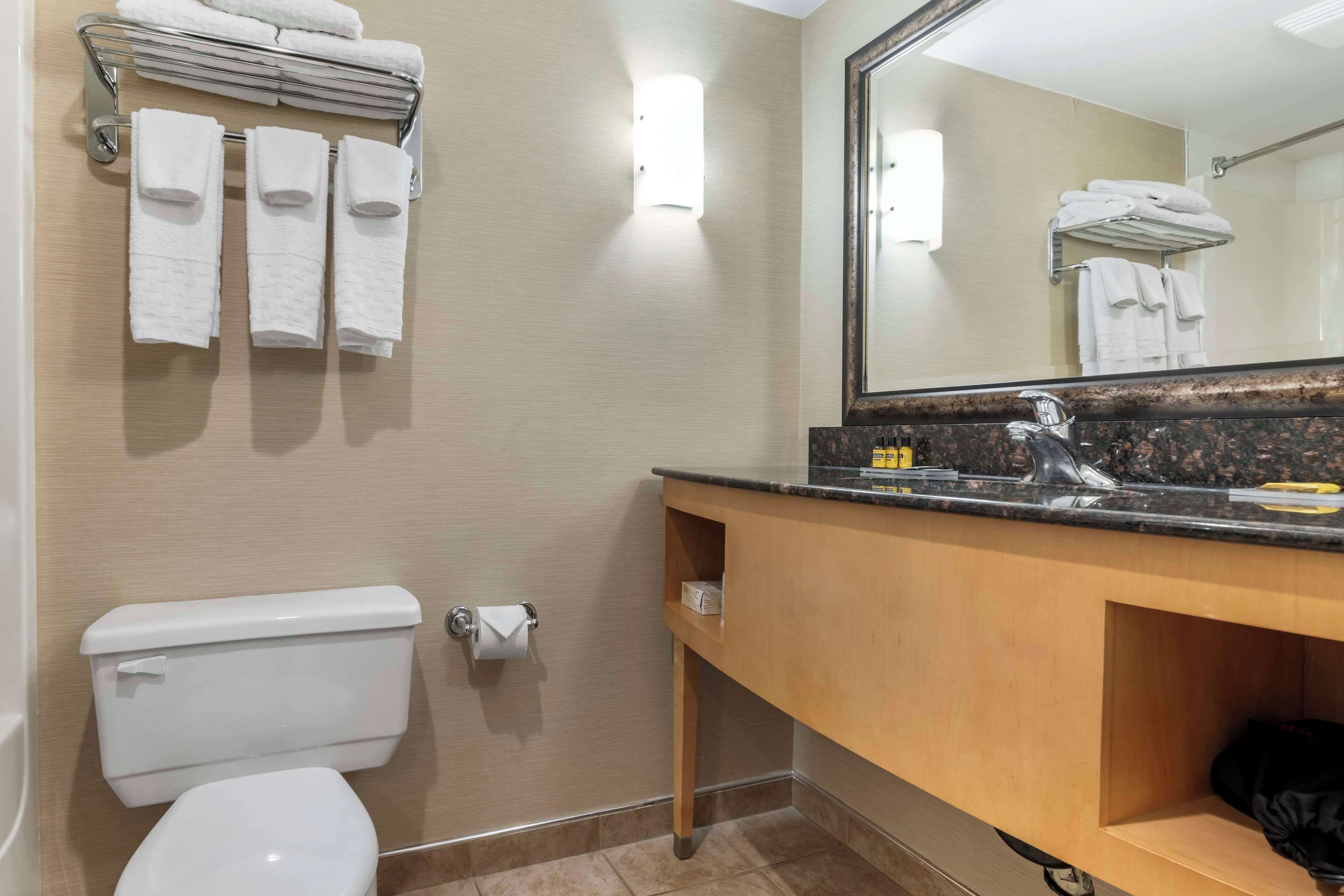 Een badkamer met toilet, wastafel en handdoekhouder.
