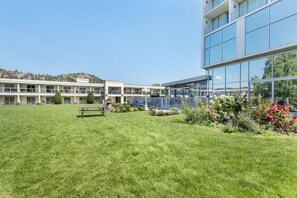 BBQ/picnic area