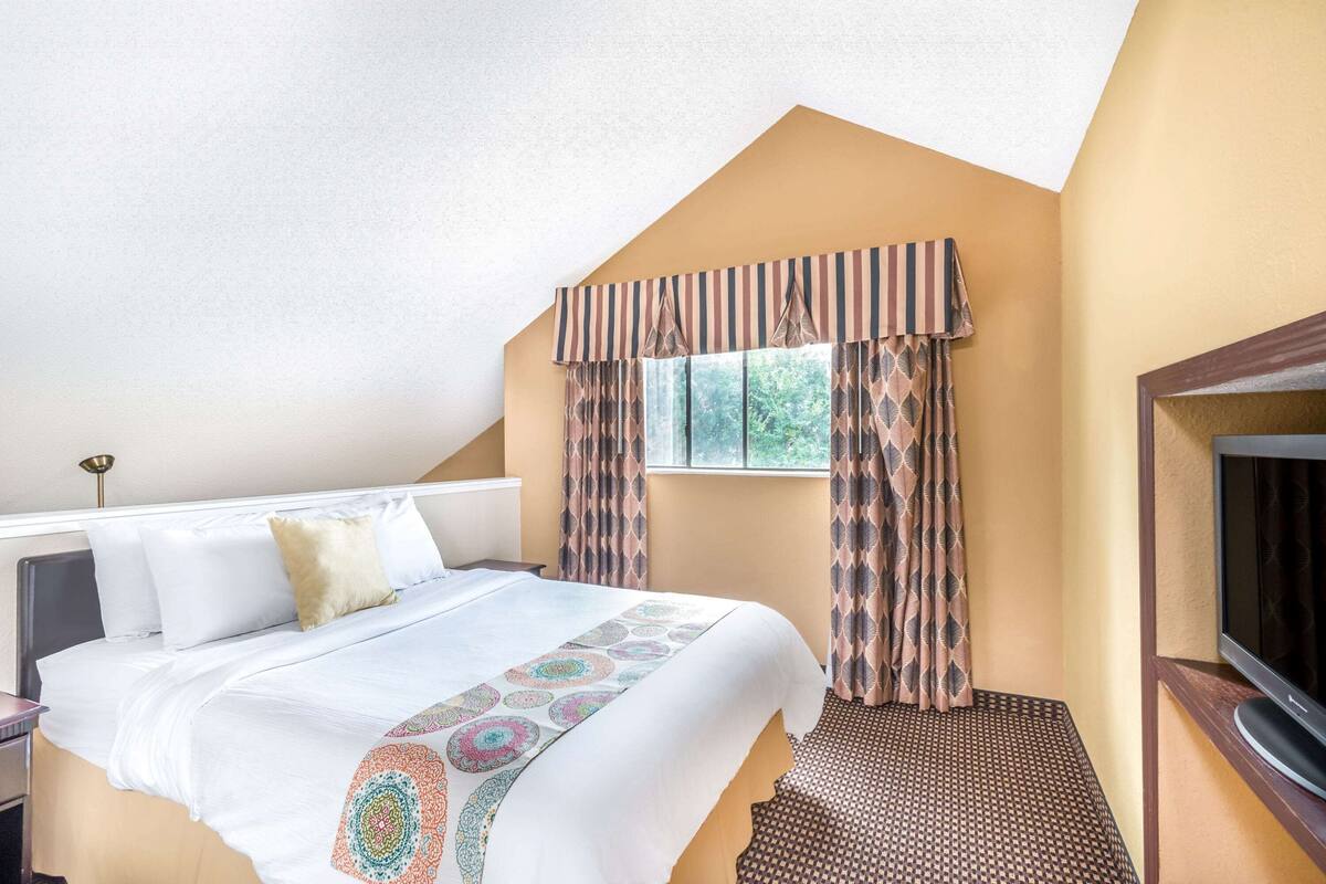 Una habitación de hotel con cama, ventana con cortinas, televisión y alfombra estampada.