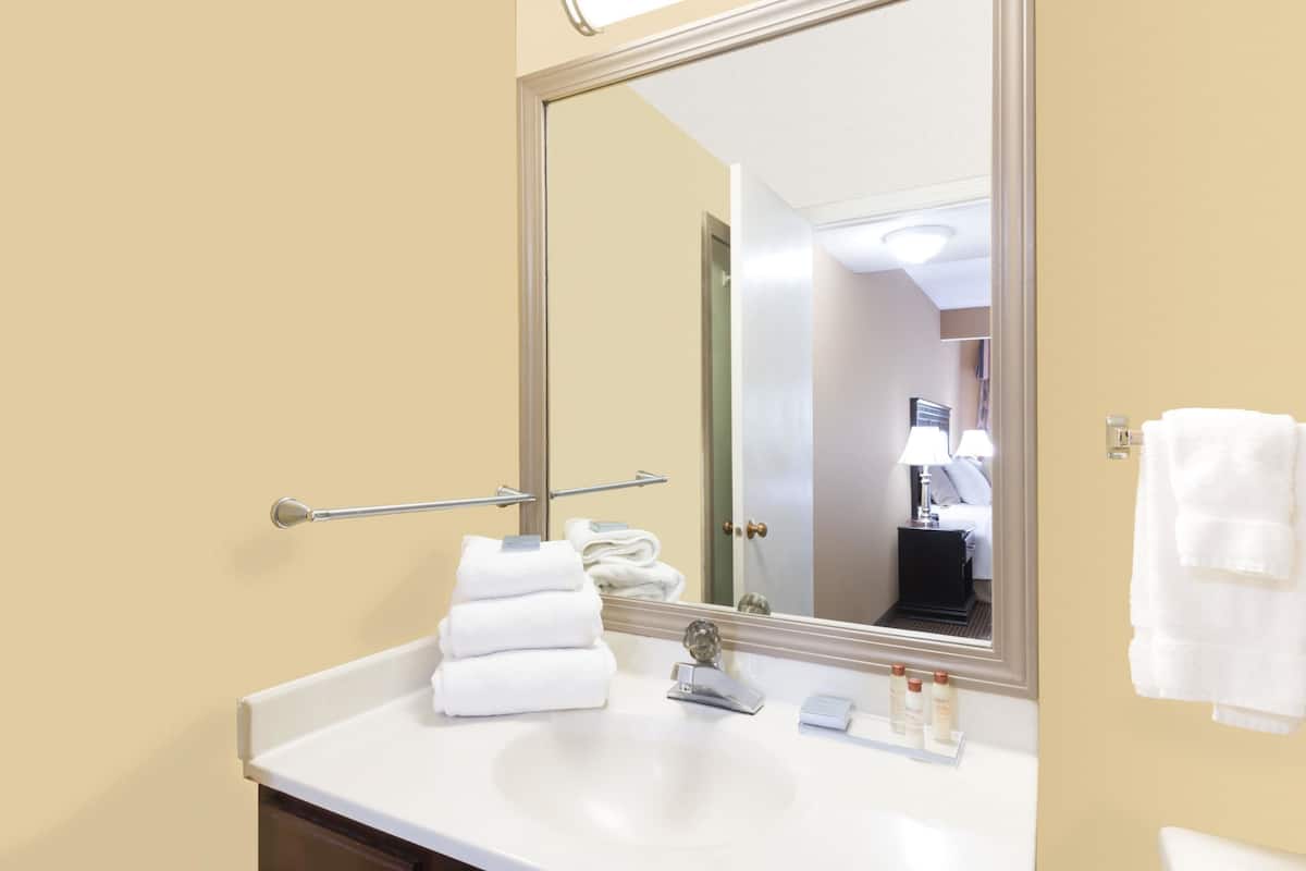 combined shower/bathtub, free toiletries, hair dryer, towels