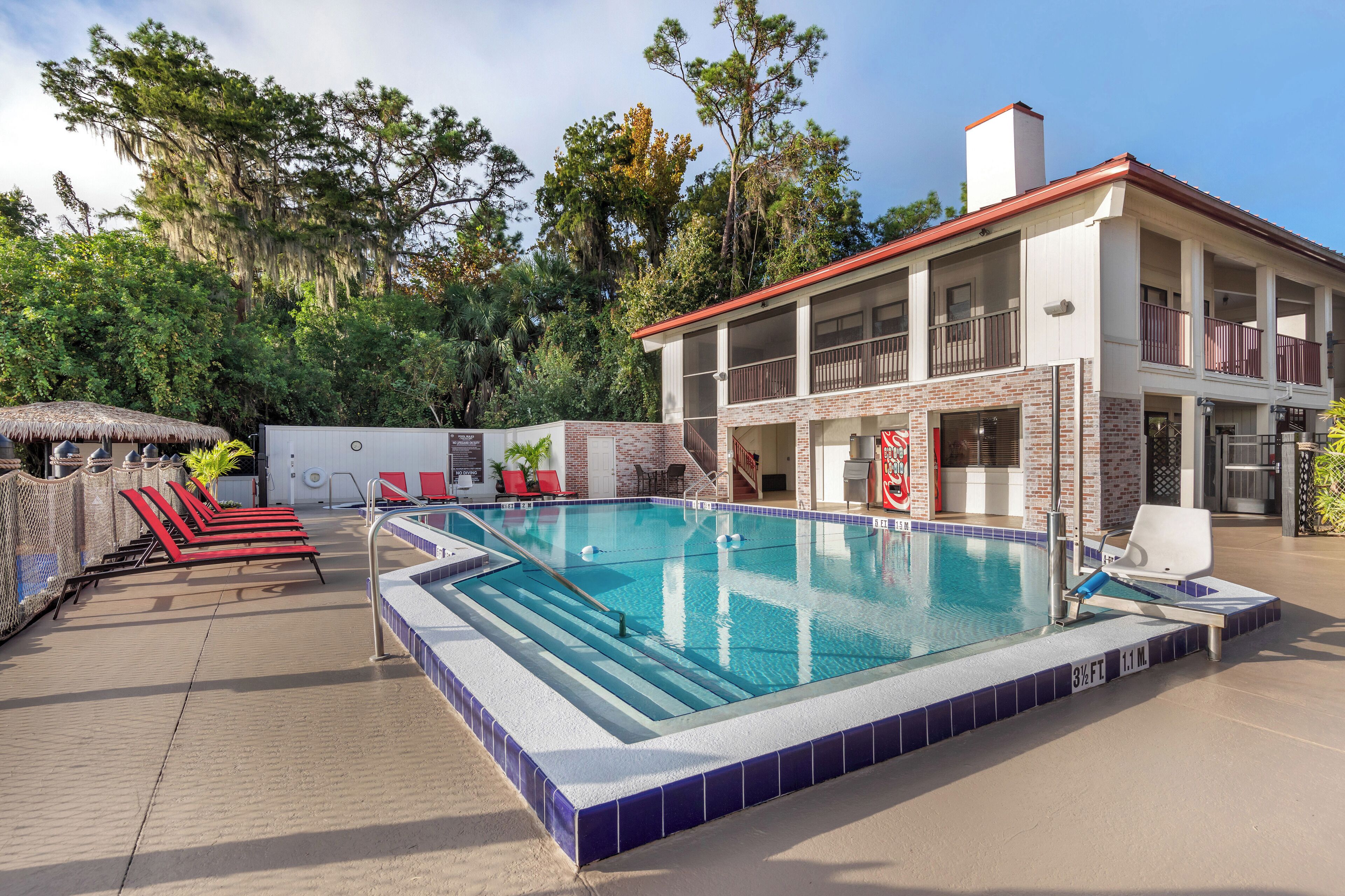 outdoor pool, pool loungers