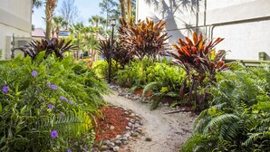 A garden with a variety of plants and a gravel path. - Bryan’s Spanish Cove by Coolvacay (Orlando)