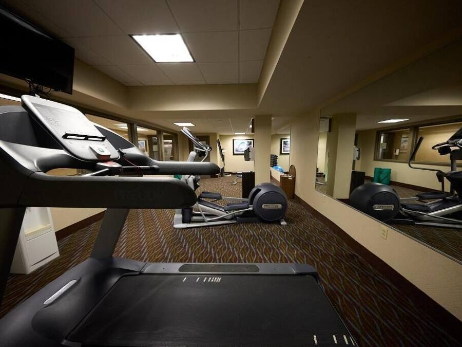A hotel fitness center with treadmills, elliptical machines, and a weight bench.