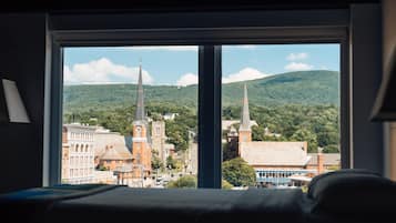 Hypo-allergenic bedding, desk, laptop workspace, blackout drapes