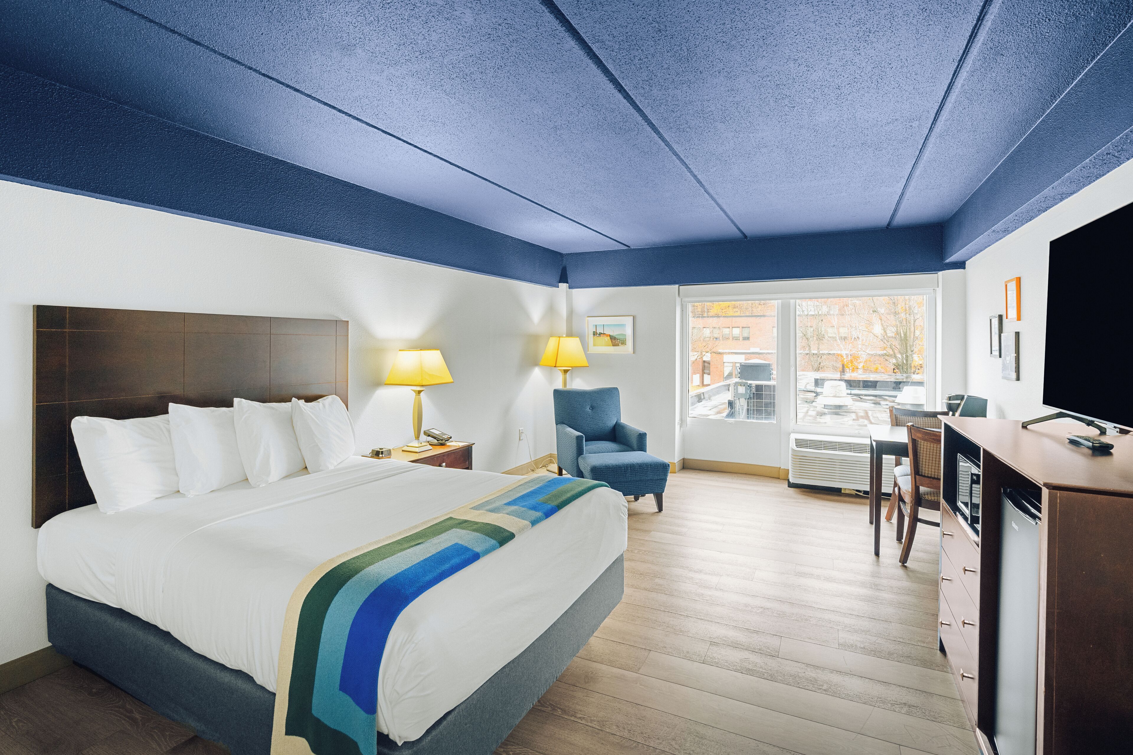 Standard Room, 1 Queen Bed, Non Smoking | Hypo-allergenic bedding, desk, laptop workspace, blackout drapes