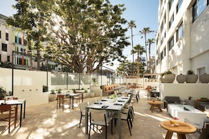 An outdoor dining area with tables and chairs, surrounded by large potted plants and trees.