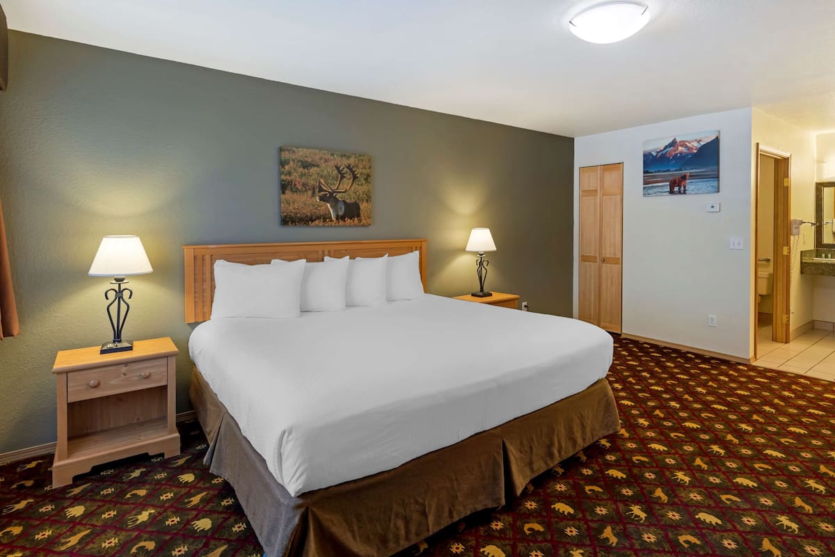 A hotel room with a large bed, two bedside tables with lamps, a headboard, a carpet with animal patterns, and a painting of a mountain scene.