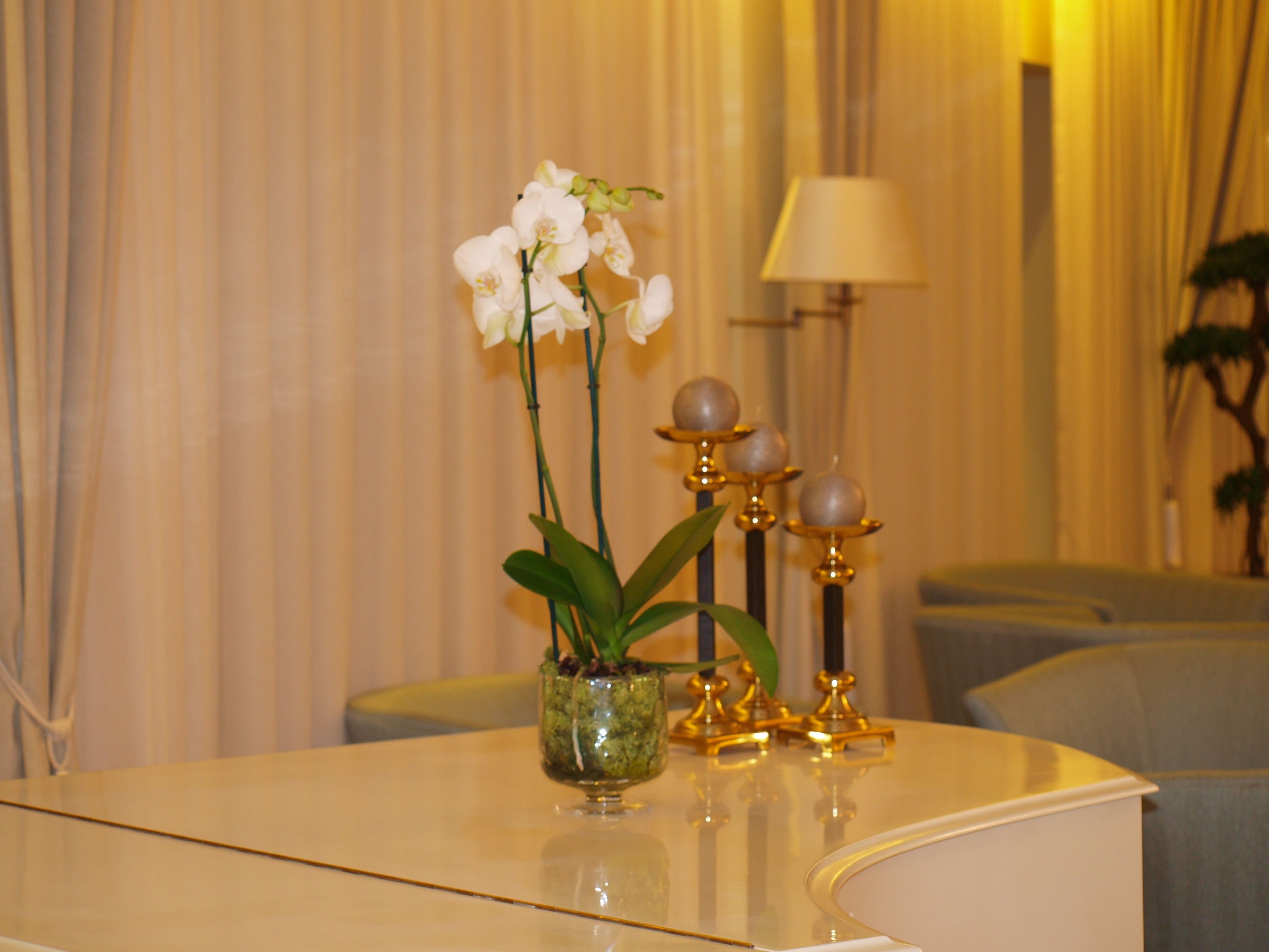 A white table with a vase of white orchids, a green plant, and a decorative lamp with golden accents.