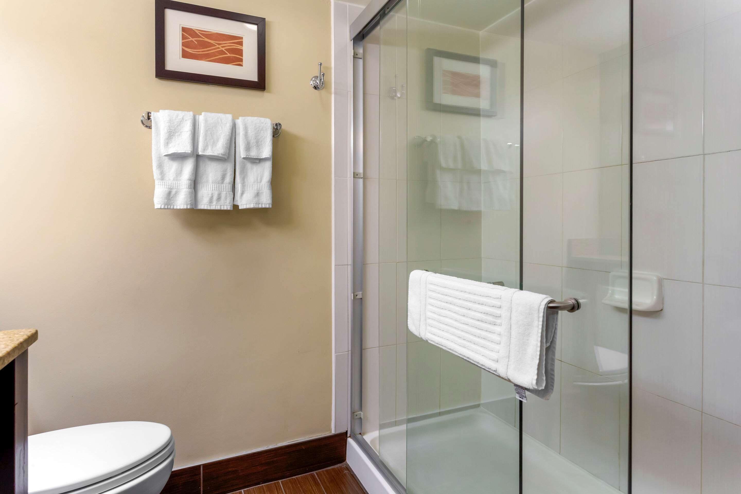 combined shower/bathtub, hair dryer, towels