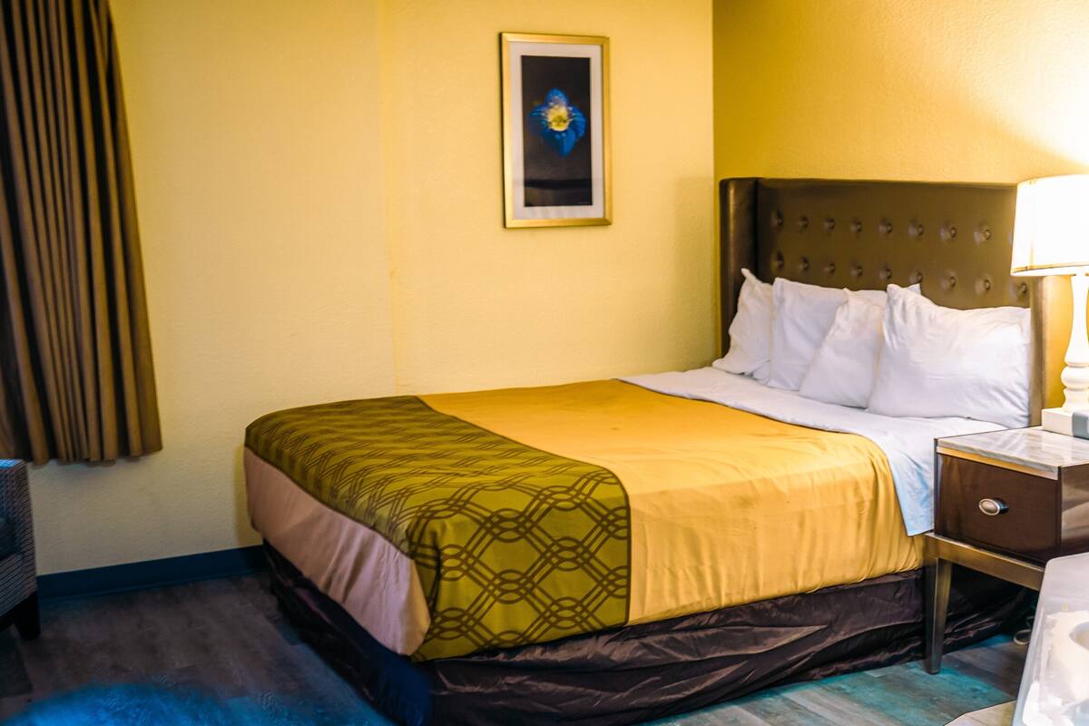 A hotel room with a bed, a nightstand, a lamp, a framed picture on the wall, and a window with curtains.