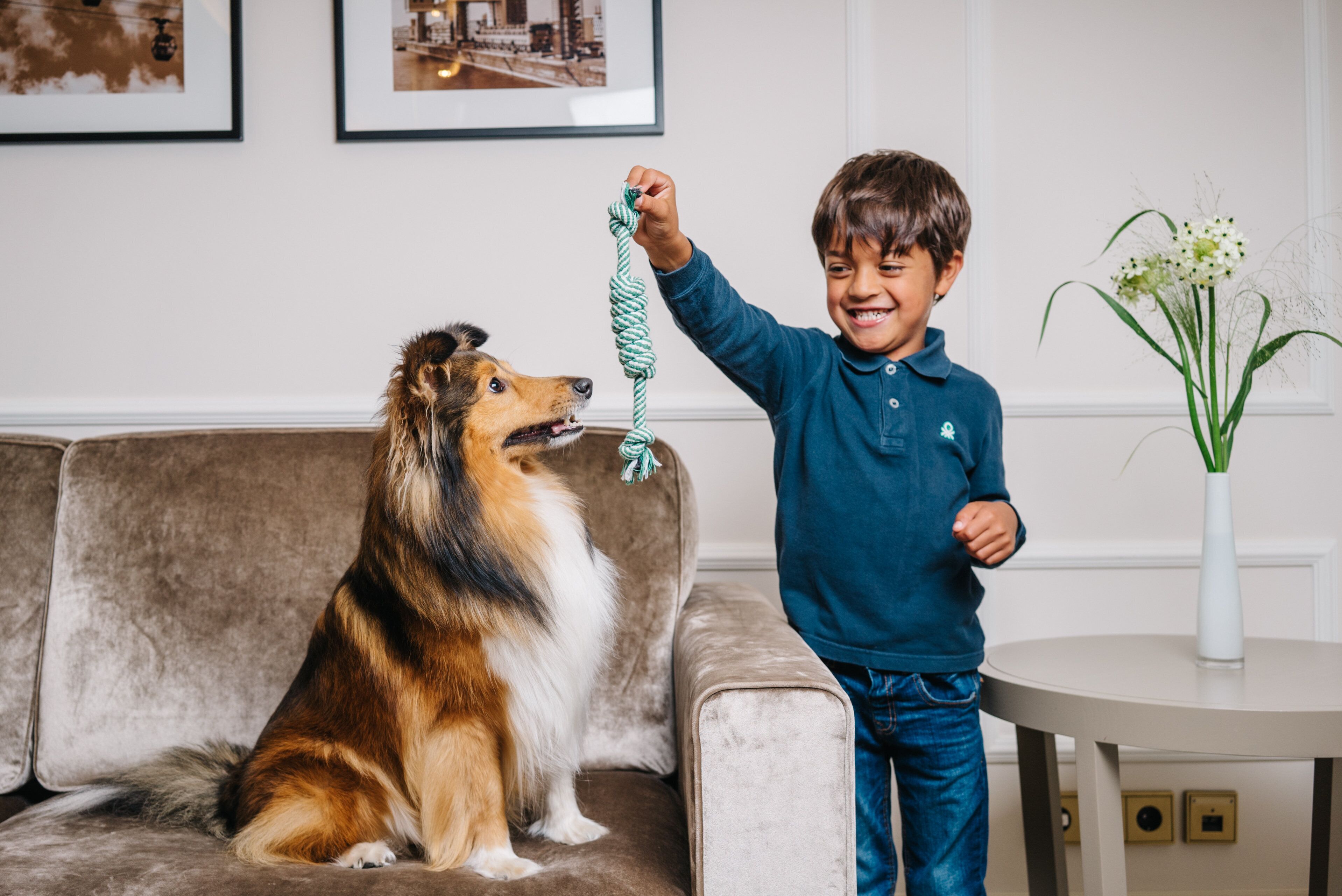 A child playing with a dog on a sofa in a room with framed pictures on the wall and a vase with flowers on a table.