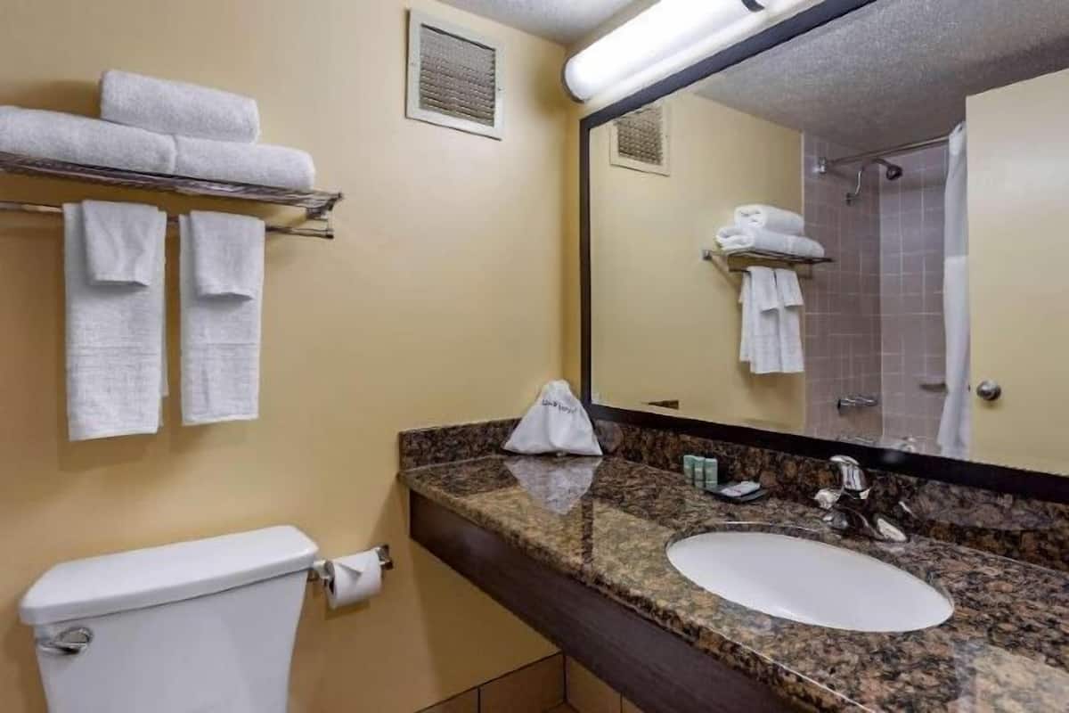 Combined shower/bathtub, designer toiletries, hair dryer, towels