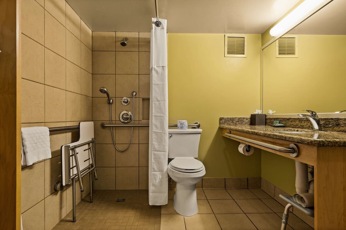 Combined shower/bathtub, designer toiletries, hair dryer, towels
