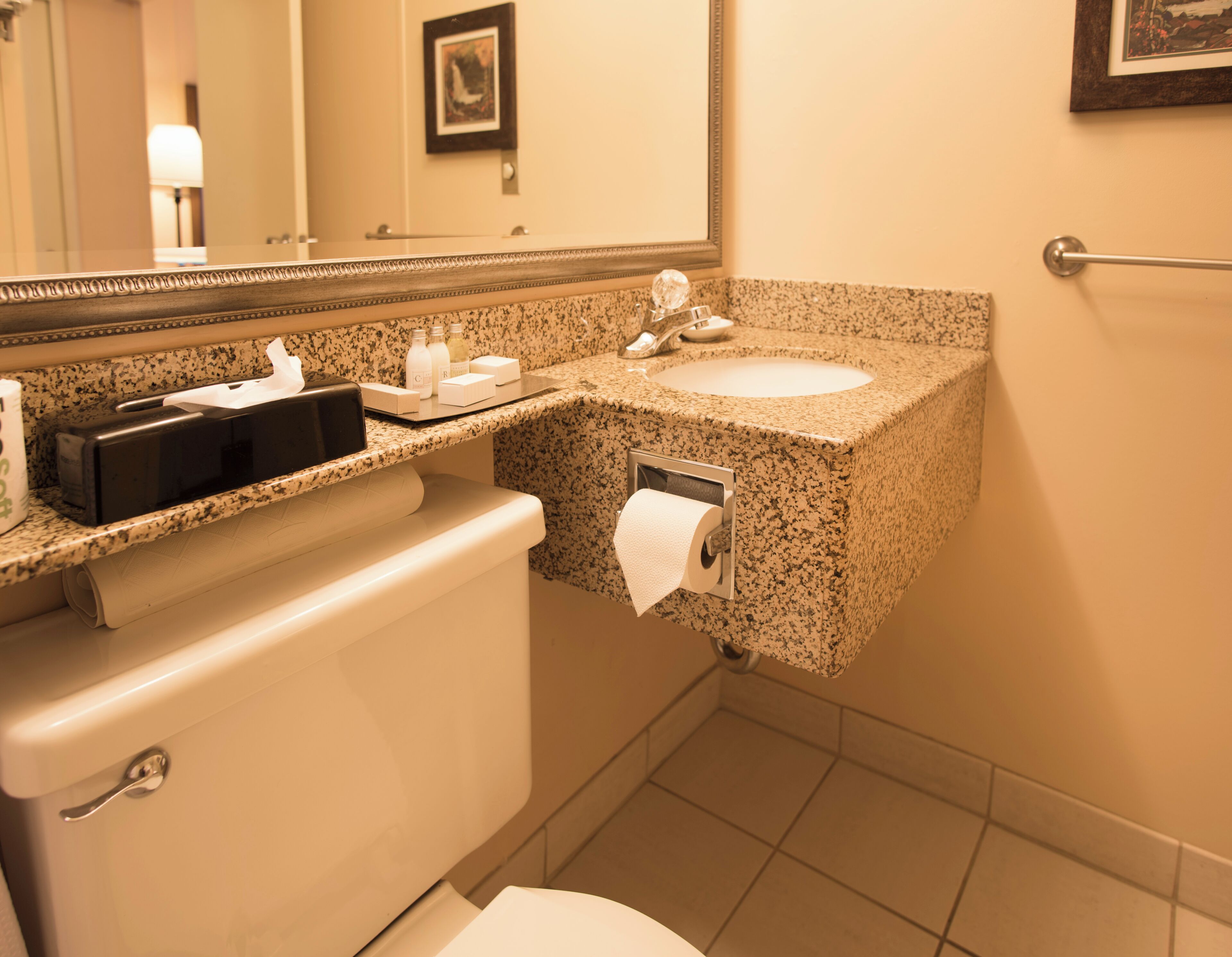 combined shower/bathtub, free toiletries, hair dryer, bathrobes