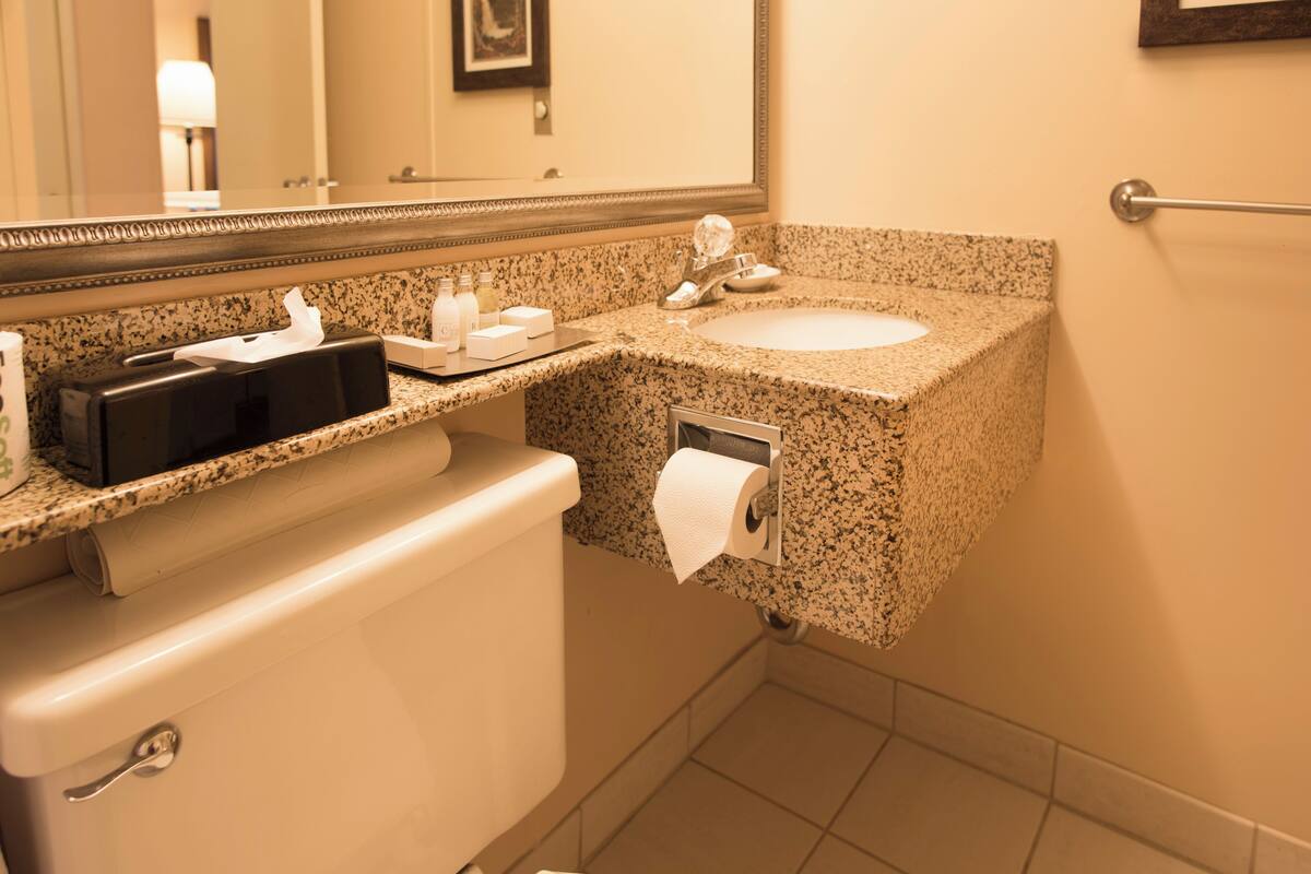 combined shower/bathtub, free toiletries, hair dryer, bathrobes
