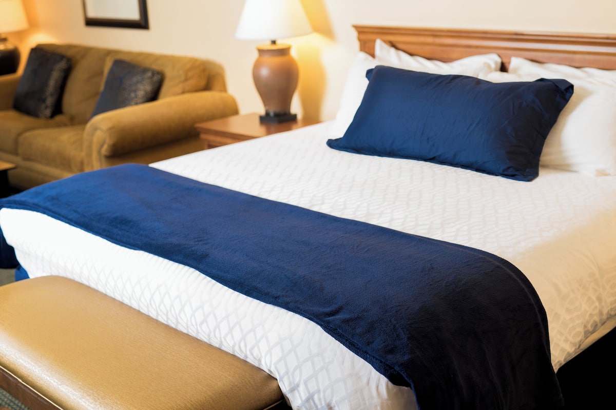 A neatly made bed with a blue blanket and pillows, a brown leather bench, and a sofa with cushions.