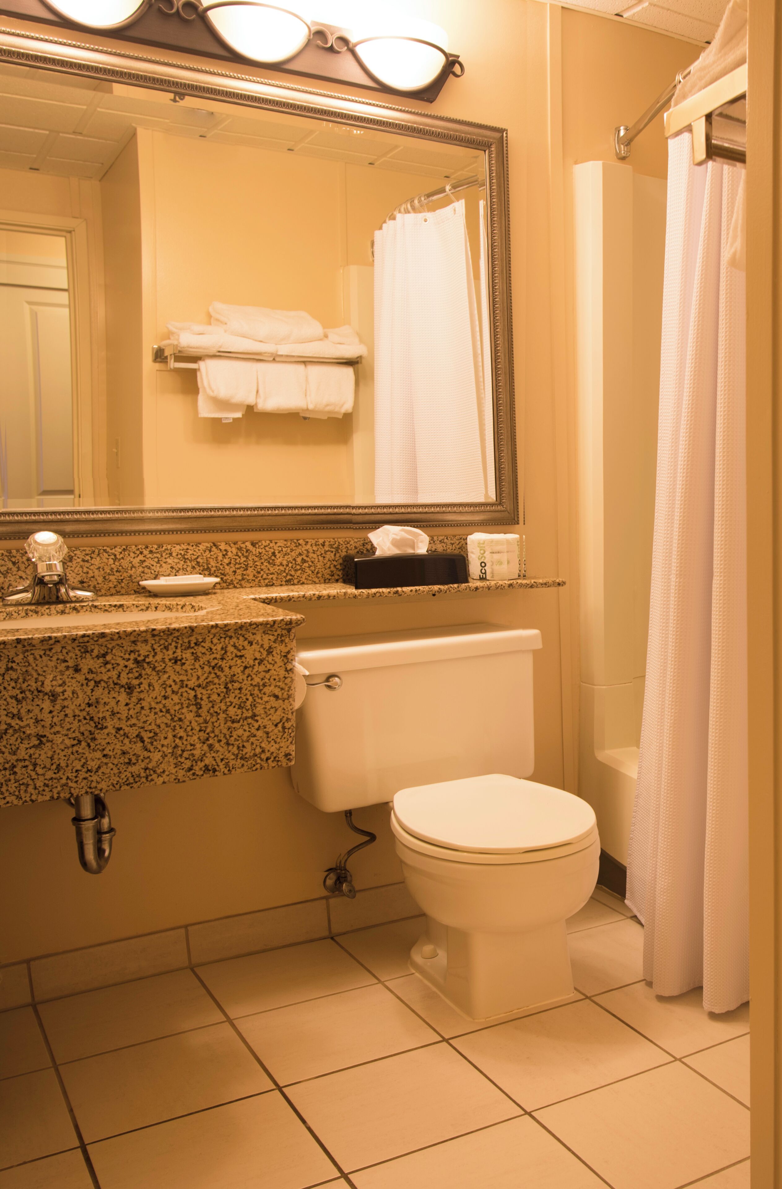 A bathroom with a sink, mirror, toilet, and shower curtain.