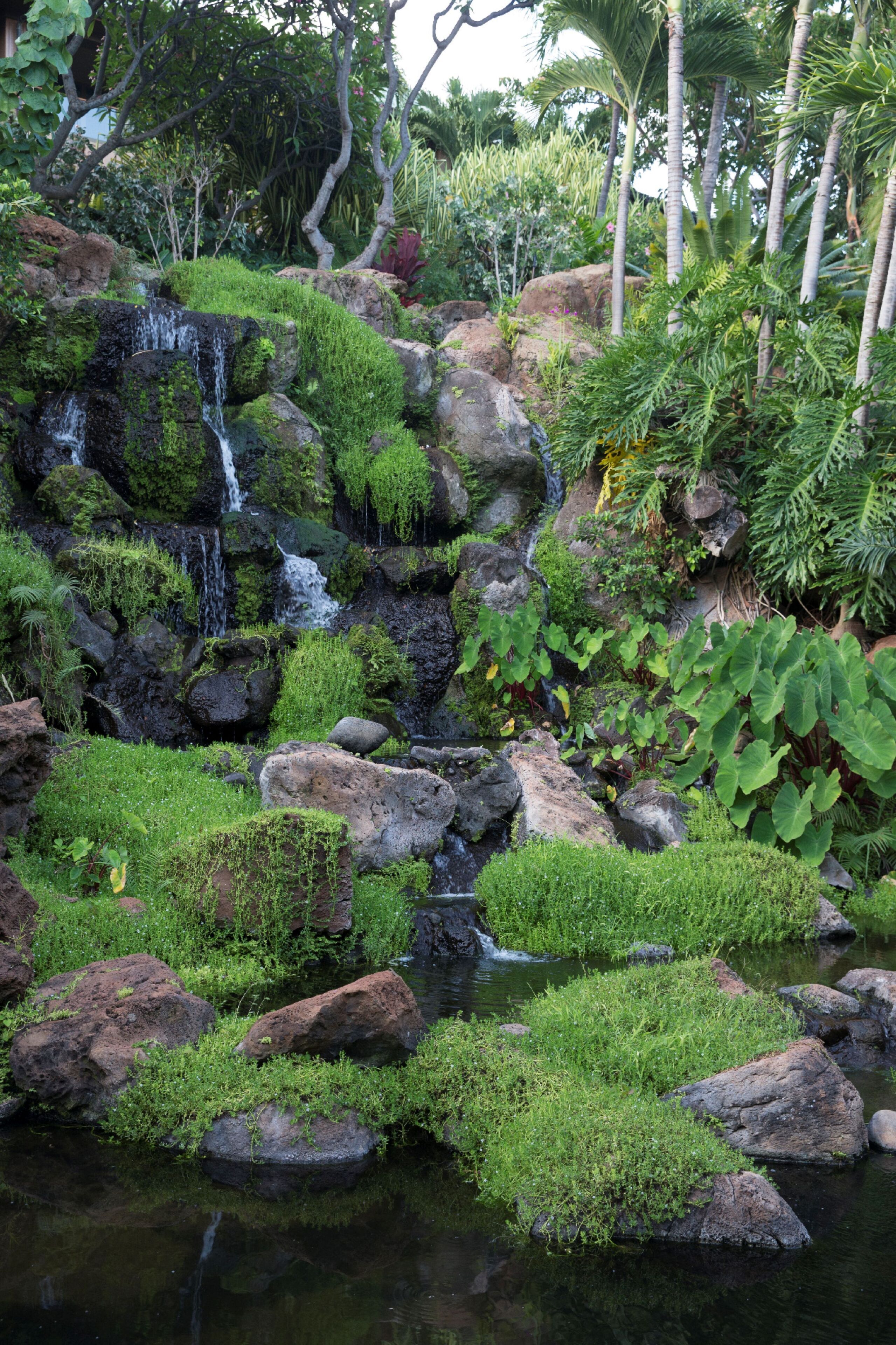 Un paisaje natural con una cascada pequeña, rocas y abundante vegetación.