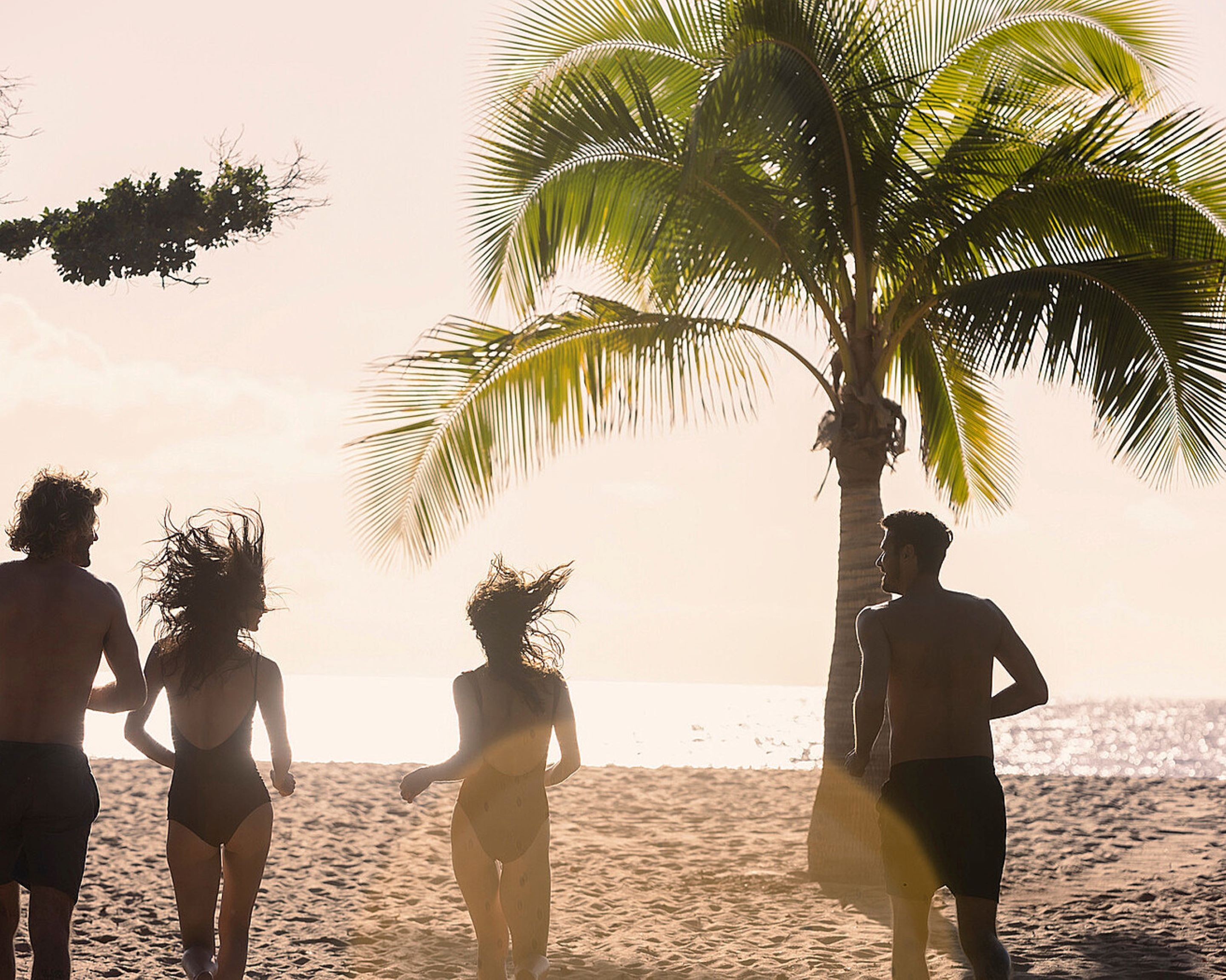 A beach scene with palm trees and people walking.