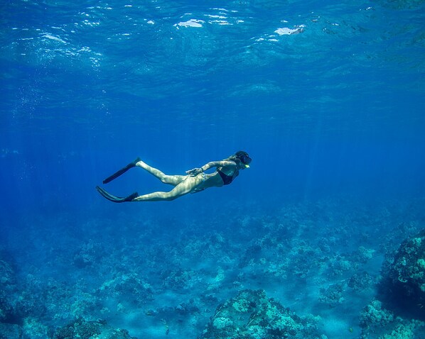 A diver swimming underwater with a coral reef in the background. - Four Seasons Resort Lanai (Lanai City)