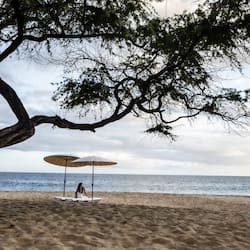On the beach, sun loungers, beach umbrellas, beach towels