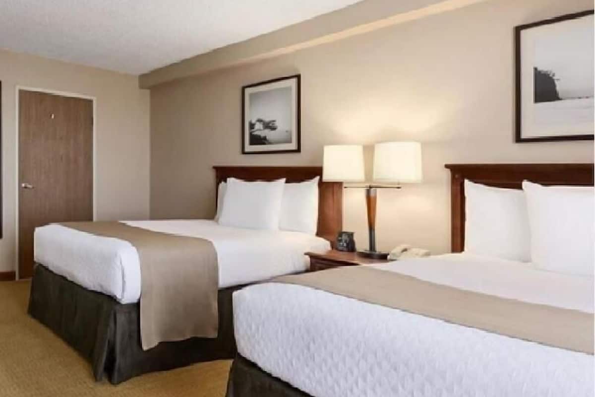 Premium bedding, down comforters, pillowtop beds, in-room safe
